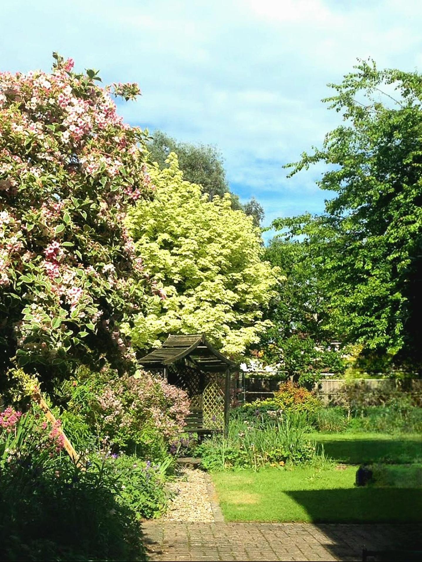 Hollybush Guest House Оксфорд Екстериор снимка